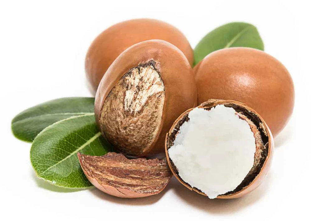 SENSITIZATION OF SHEA VALUE CHAIN STAKEHOLDERS